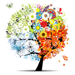 partner_zolderdoovoda Zölderdő óvoda partner